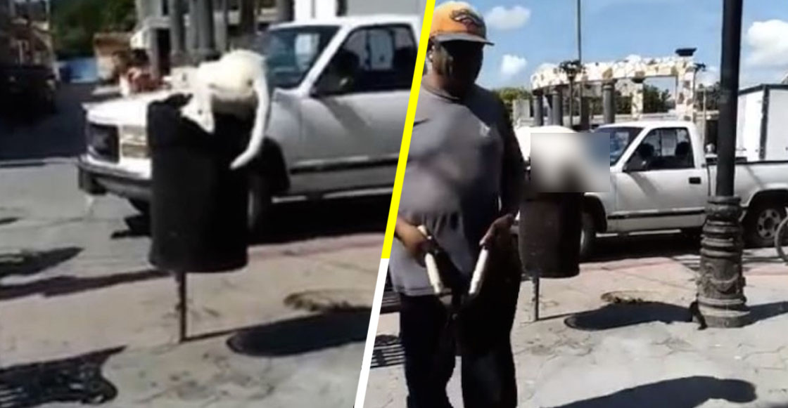 HDP: Hombre le corta la cola a perrito que buscaba comida en bote de basura, en Puebla