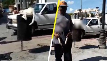 HDP: Hombre le corta la cola a perrito que buscaba comida en bote de basura, en Puebla