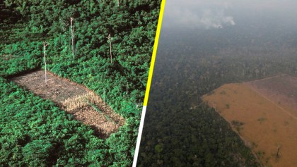 Las fotos del antes y el después del Amazonas para dimensionar los daños que han dejado los incendios