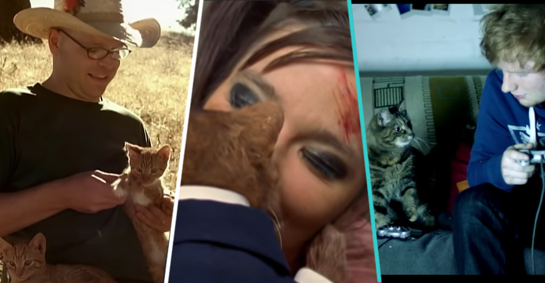 ¡Meow! 12 videos musicales protagonizados por gatos