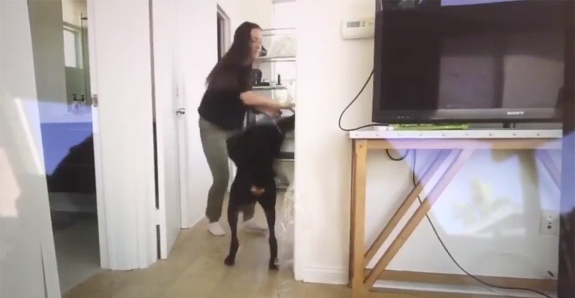 YouTuber es investigada por maltrato animal tras golpear a su perro en un video