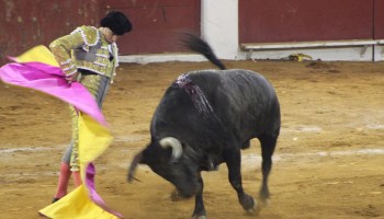 Una corrida de toros en la Plaza México.