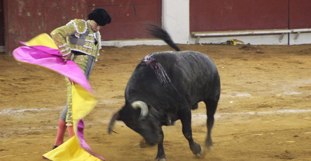 amlo-consulta-corridas-toros-mexico-acepta