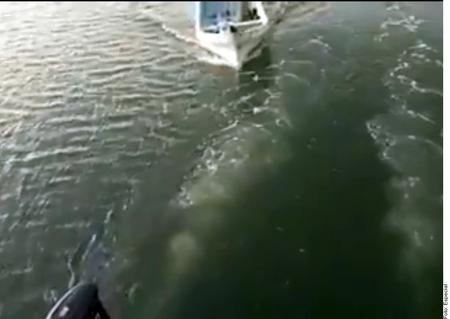 Ni en el mar estamos a salvo: Turista graba cómo comando armado asalta su embarcación 