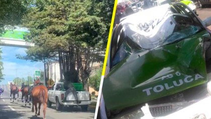 Caballos de la policía se asustan con pirotecnia y provocan estampida en calles de Toluca