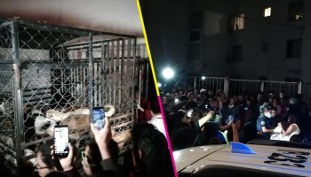 Detienen en Puebla a una mujer que tenía al menos a 30 perros enjaulados
