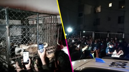 Detienen en Puebla a una mujer que tenía al menos a 30 perros enjaulados