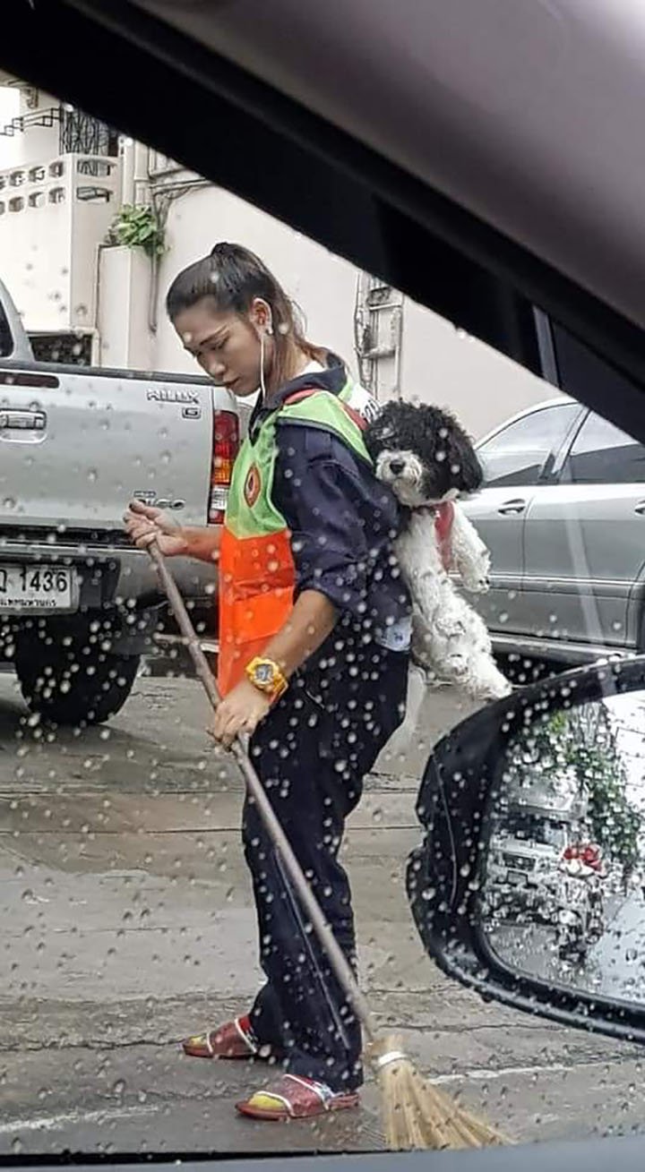 Una barrendera lleva a su perrito a trabajar con ella para que no se quede solo y es lo más tierno del mundo