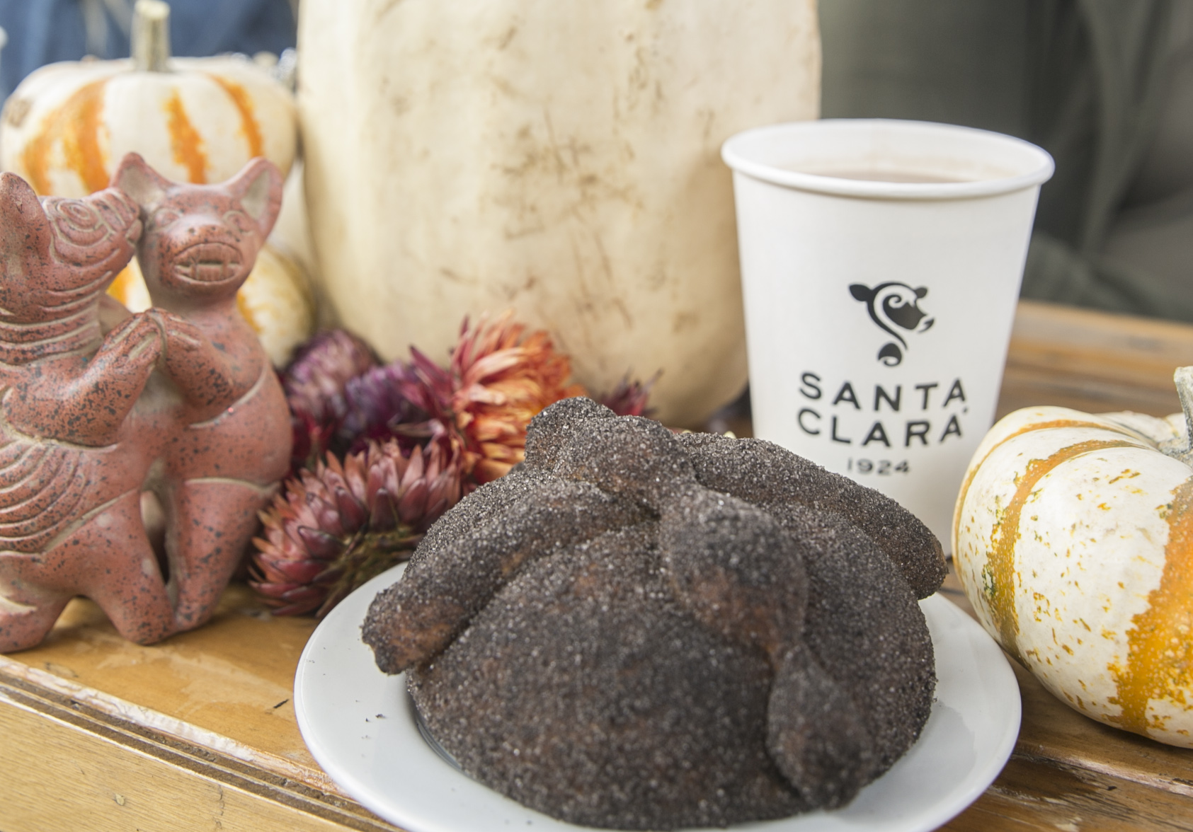 Ganador 02 Rosetta Paneada Santa Clara 2019