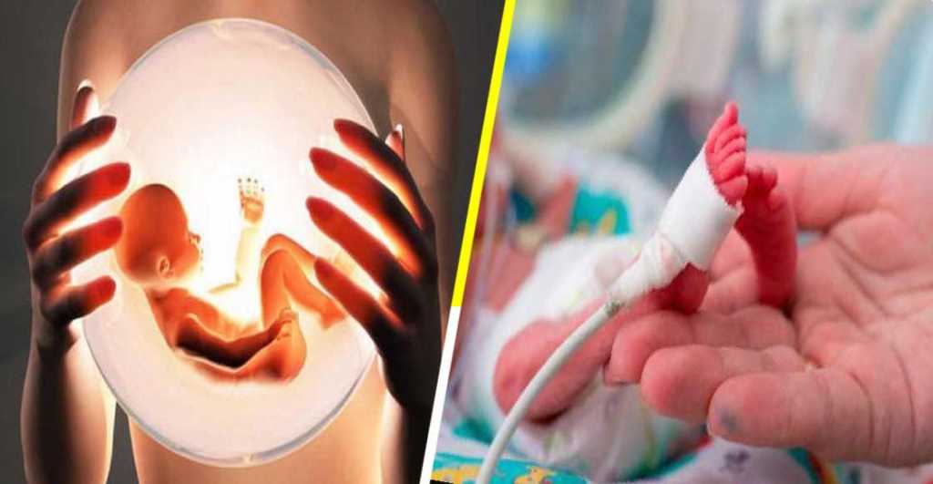 Un útero artificial podría ser la esperanza para bebés prematuros