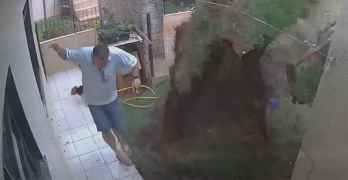 ¡ALV! Hombre explota su jardín al intentar eliminar un nido de cucarachas