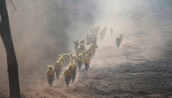 Anuncia Evo Morales que incendios forestales en Bolivia ya fueron apagados