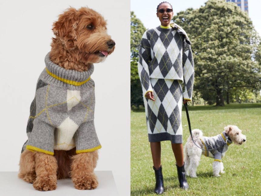 H&M lanza una colección de ropa para que tú y tu perro se vistan igual 