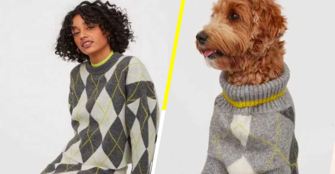 H&M lanza una colección de ropa para que tú y tu perro se vistan igual