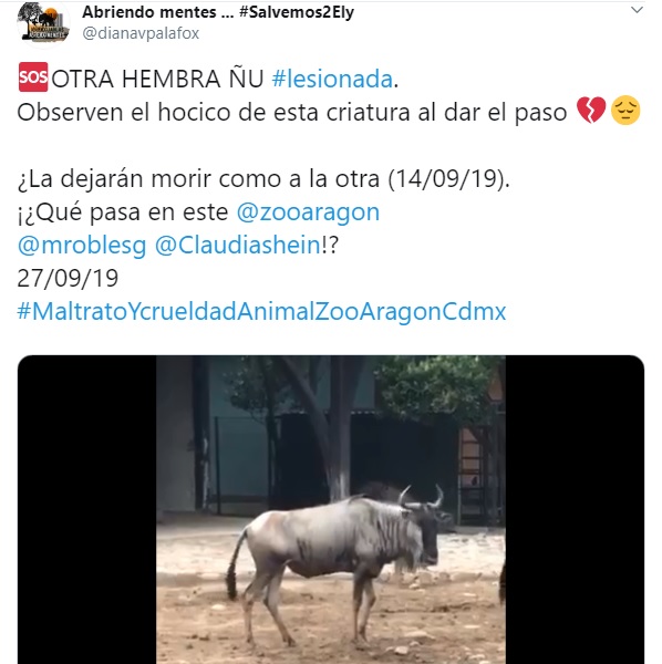 Denuncian la crueldad animal que se vive en el Zoológico de Aragón 