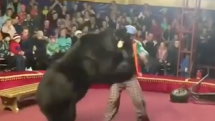 oso-circo-ataque-video-rusia-domador-destacada