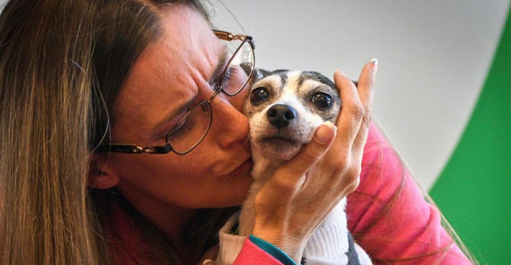 Mujer logra reunirse con su perrita perdida… ¡12 años después!