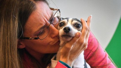Mujer logra reunirse con su perrita perdida… ¡12 años después!