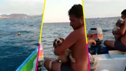 ¡Aplausos! Unos pescadores rescataron a un perrito del mar en Baja California Sur