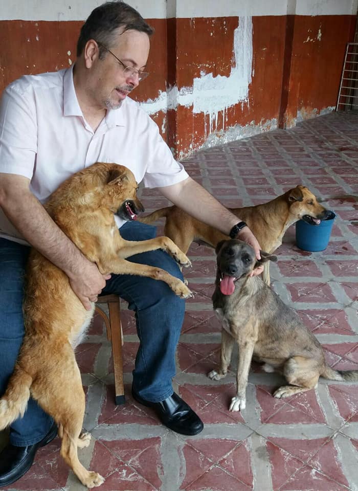 Fe restaurada: Sacerdote lleva a perritos callejeros a misas dominicales para que puedan ser adoptados