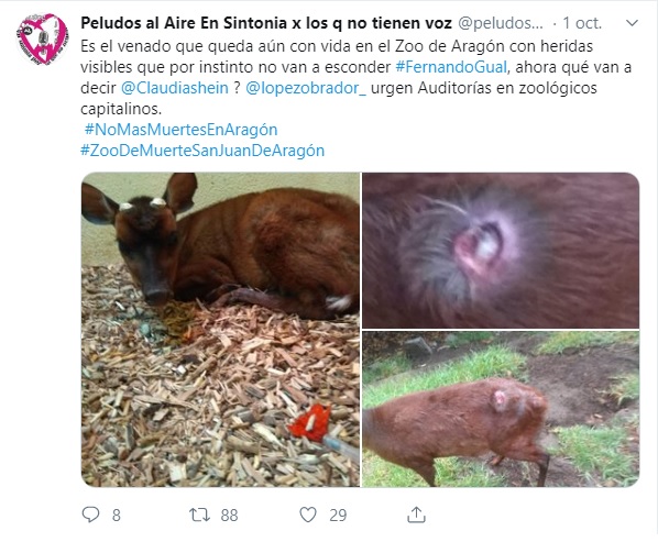 Denuncian la crueldad animal que se vive en el Zoológico de Aragón 