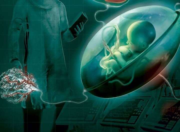 Un útero artificial podría ser la esperanza para bebés prematuros 