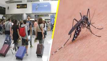 Alertan a viajeros mexicanos por virus de Encefalitis Equina del Este en Estados Unidos