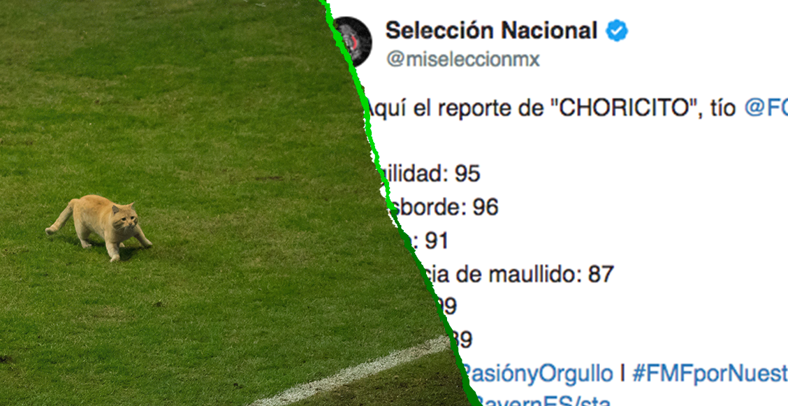 Selección Mexicana responde al interés del Bayern Múnich por 'Choricito'