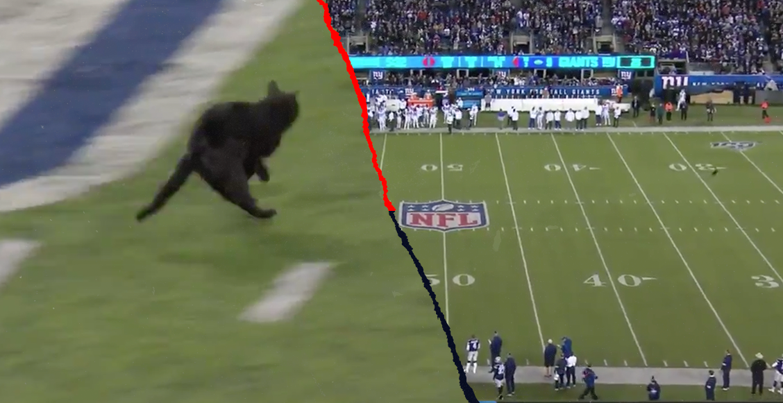 El momento en el que un gato negro interrumpió el Cowboys vs Giants