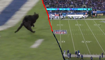 El momento en el que un gato negro interrumpió el Cowboys vs Giants