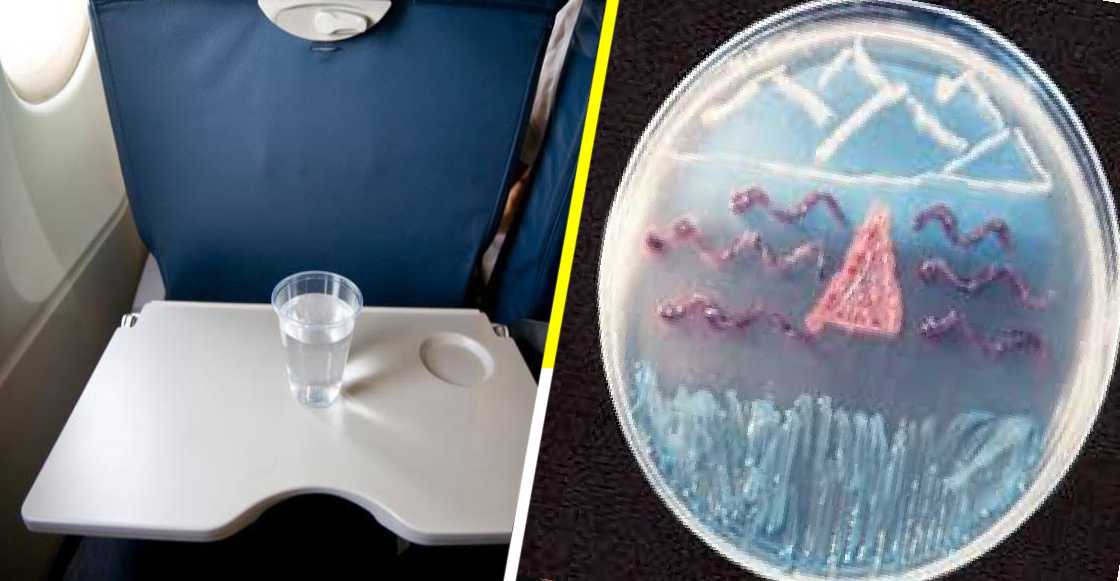 Estudio revela que el agua de los aviones puede estar tan sucia como la del retrete