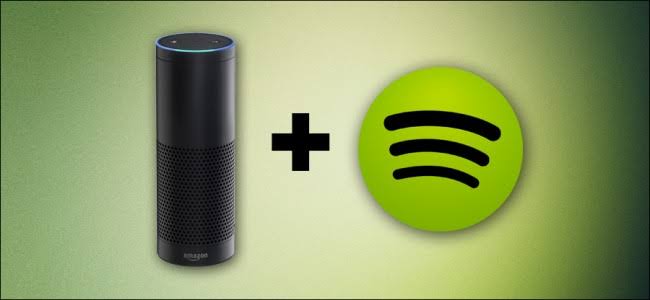 Ahora es posible escuchar Amazon Music totalmente gratis y Spotify en Amazon Echo