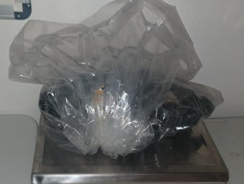 guardia-nacional-calaverita-tamarindo-heroina-dulces-cdmx-01