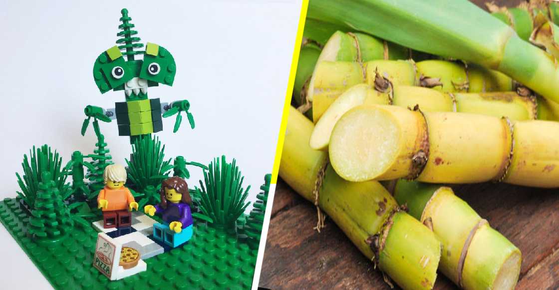 Lego se despide del plástico, innovando con bloques hechos de caña de azúcar