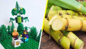 Lego se despide del plástico, innovando con bloques hechos de caña de azúcar