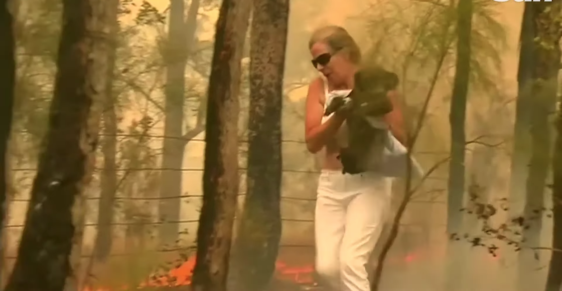 mujer-rescata-koala-video-fotos-valiente-incendios-australia-01