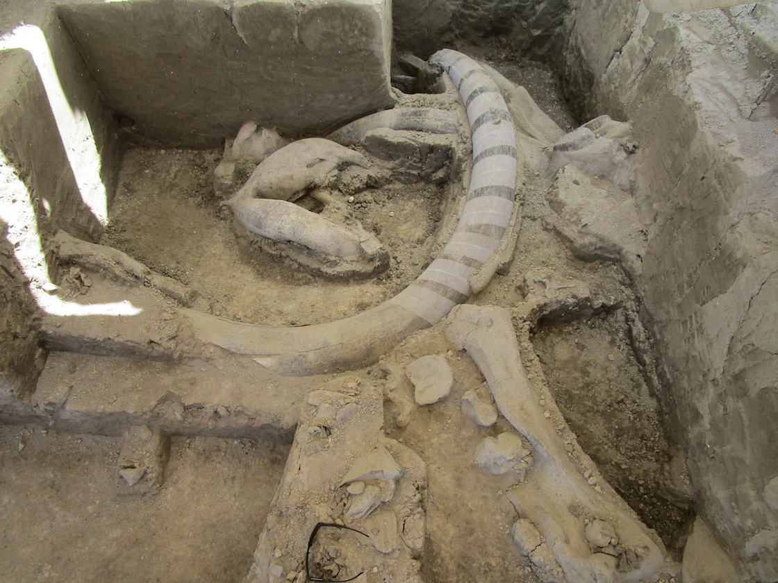 restos-mamuts-tultepec-estado-de-méxico
