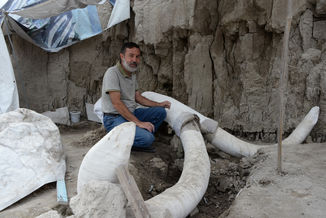 restos-mamuts-tultepec-estado-de-méxico