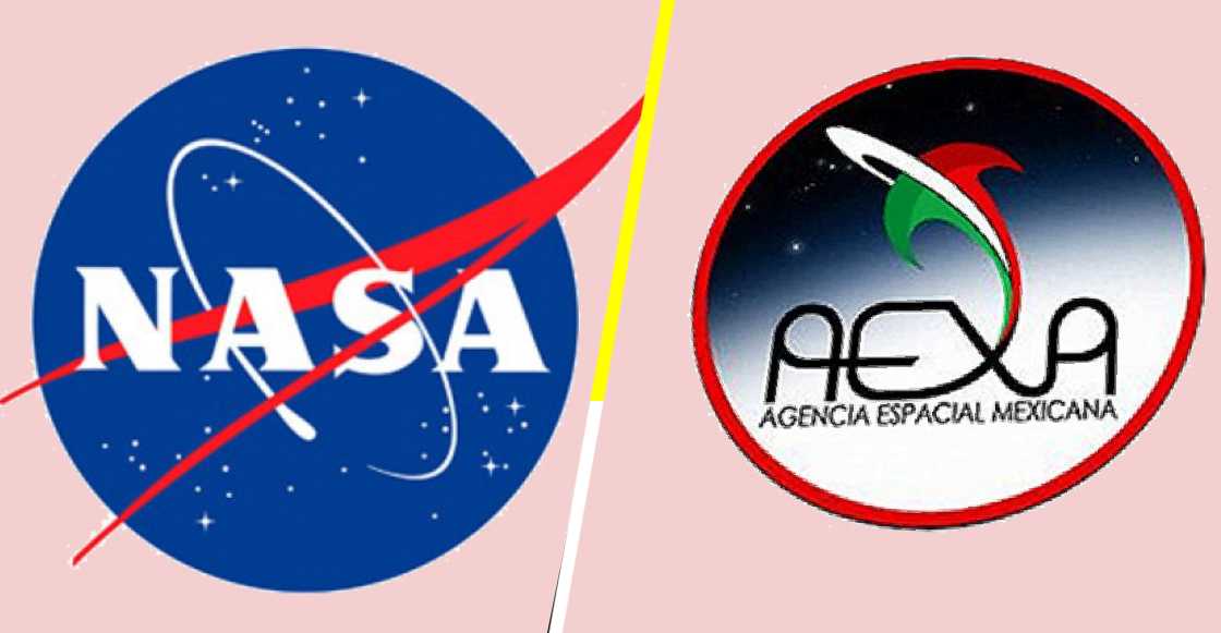 ¡Corran! La NASA está buscando universitarios mexicanos para estancia de investigación