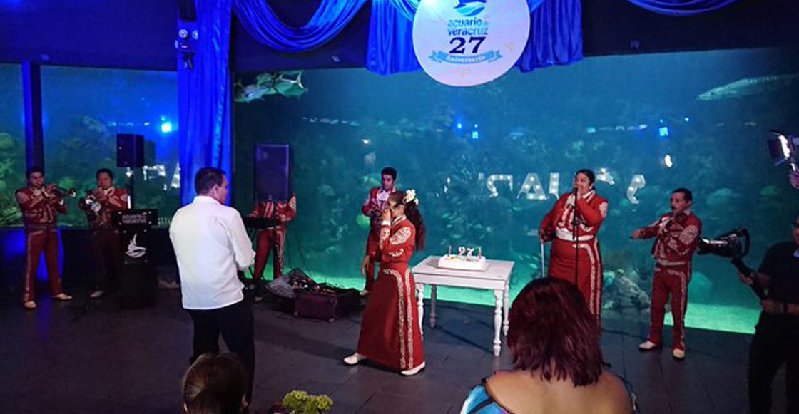 Director del Acuario de Veracruz realiza fiesta privada en el lugar; acusan de provocar posible daños a los animales