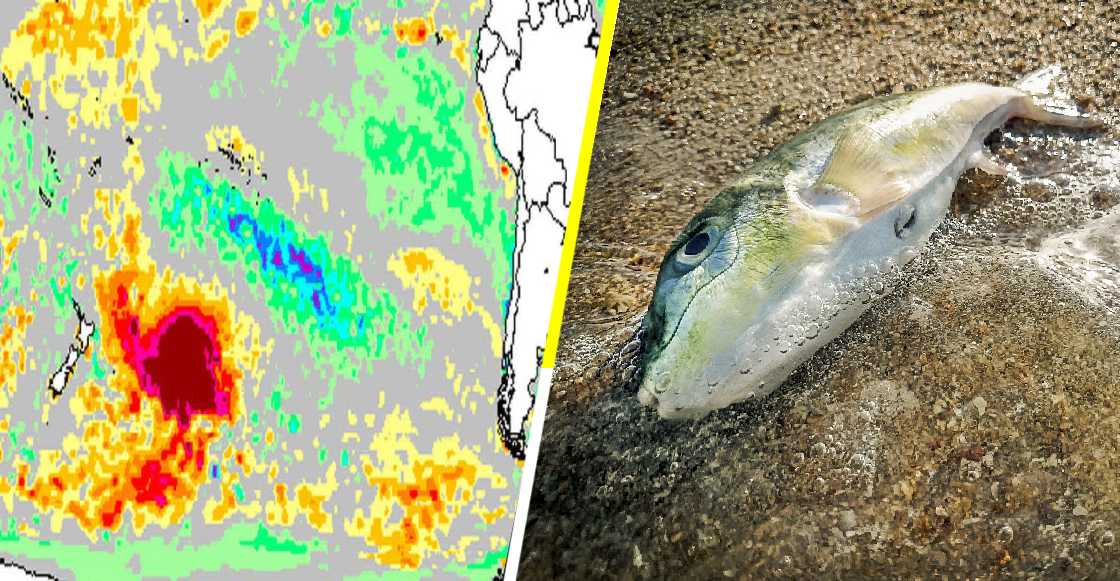 La “Mancha Caliente”: Una impresionante onda cálida que se acerca a México y Latinoamérica