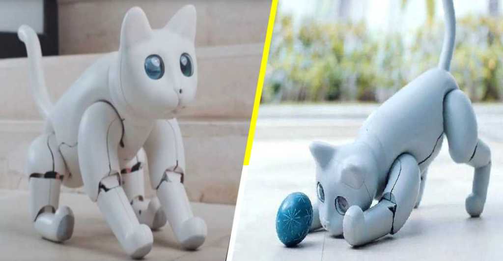 ¡La mascota del futuro! Conoce a MarsCat, el gato biónico totalmente autónomo