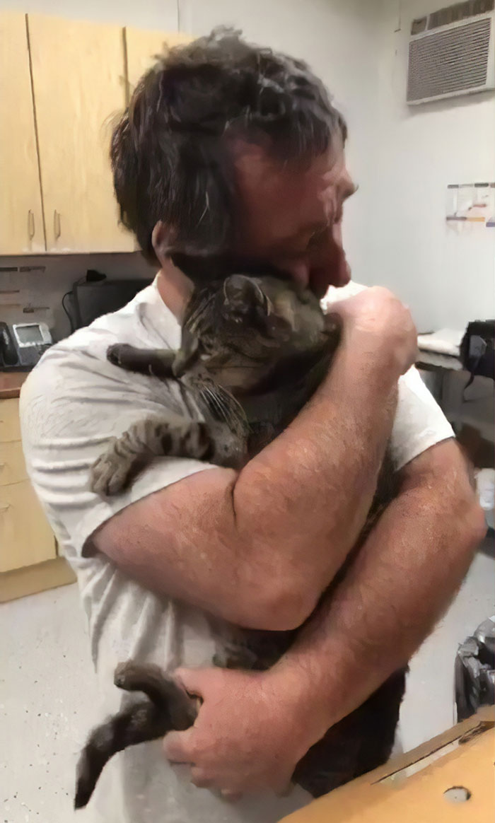 ¡Otro emotivo reencuentro! Este hombre se reunió con su gato siete años después de su desaparición