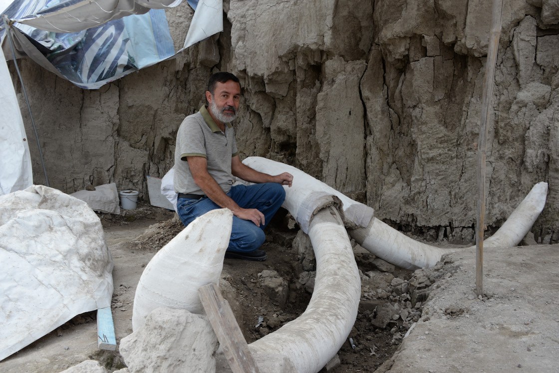 Restos de mamuts y otros hallazgos arqueológicos no detendrán obras en Santa Lucía