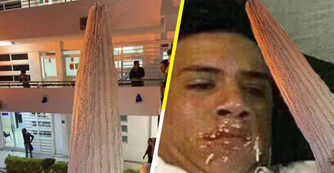 Universidad de Tamaulipas suspende a alumnos por hacer memes de su árbol de Navidad que parece elote