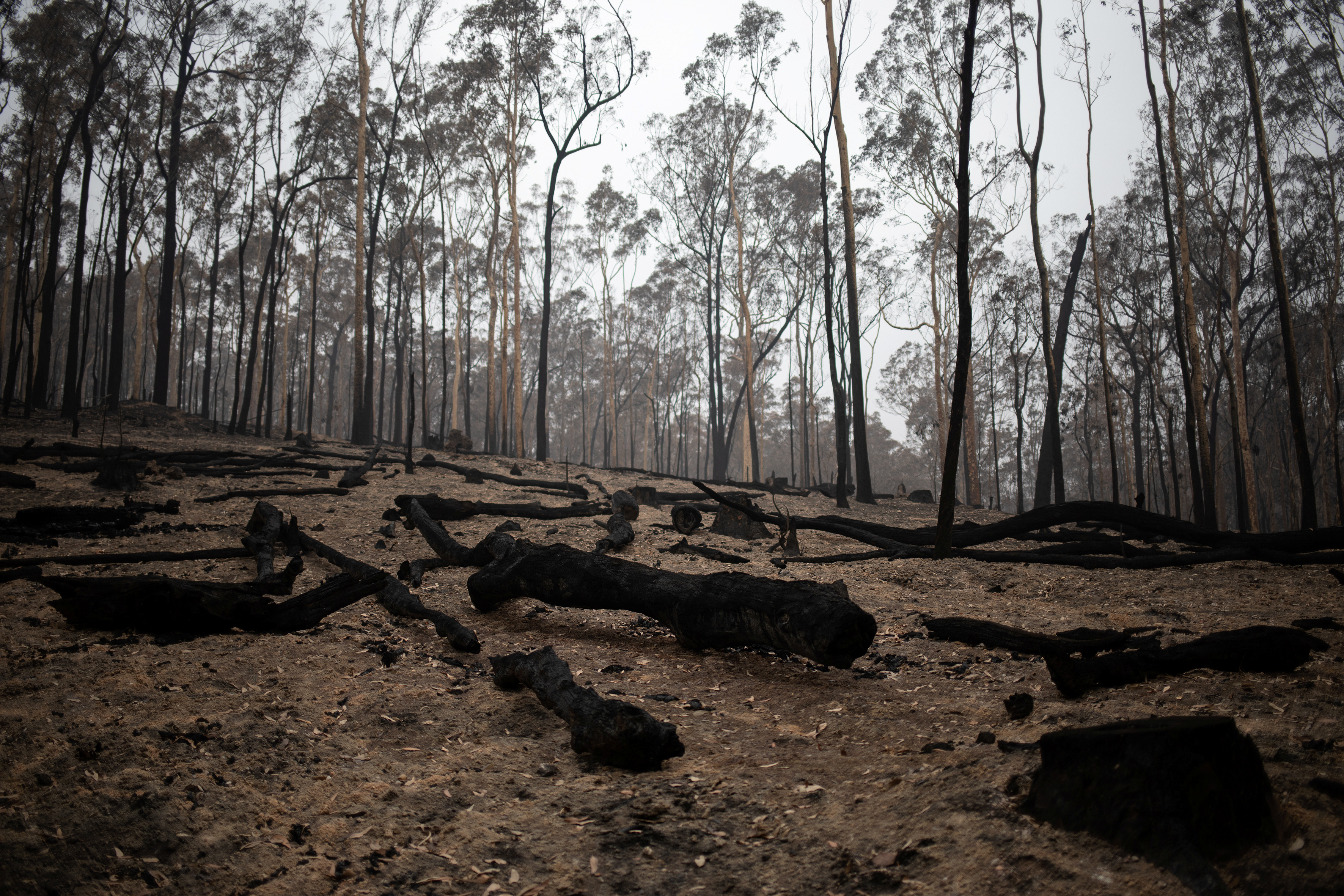 En imágenes: El antes y después de los devastadores incendios en Australia