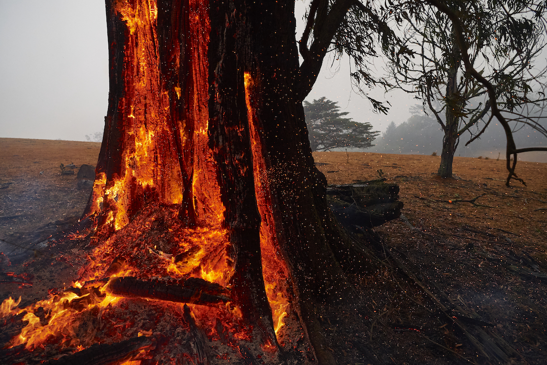 incendios-forestales-australia-reconstruccion