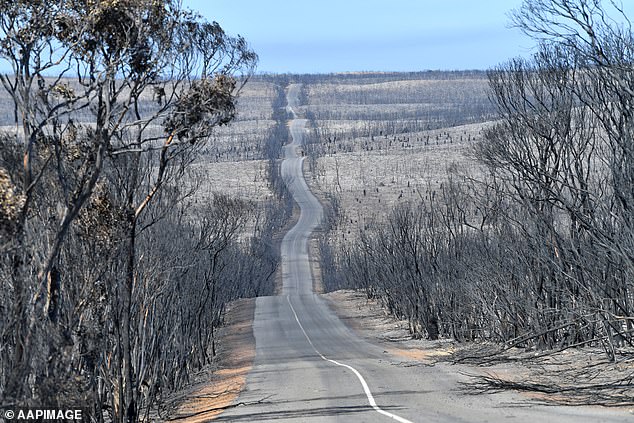 En imágenes: El antes y después de los devastadores incendios en Australia