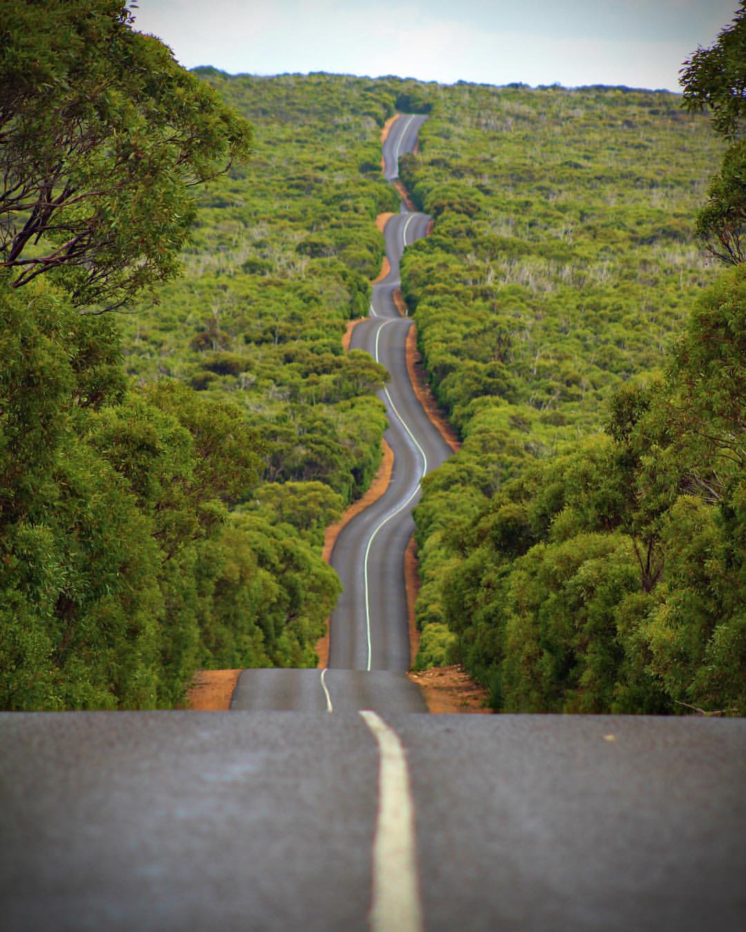 En imágenes: El antes y después de los devastadores incendios en Australia