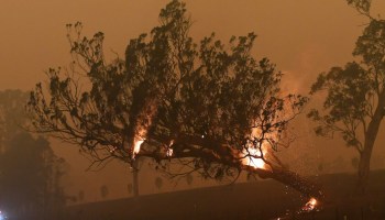 Australia-incendios-forestales-recursos-scott-morrison